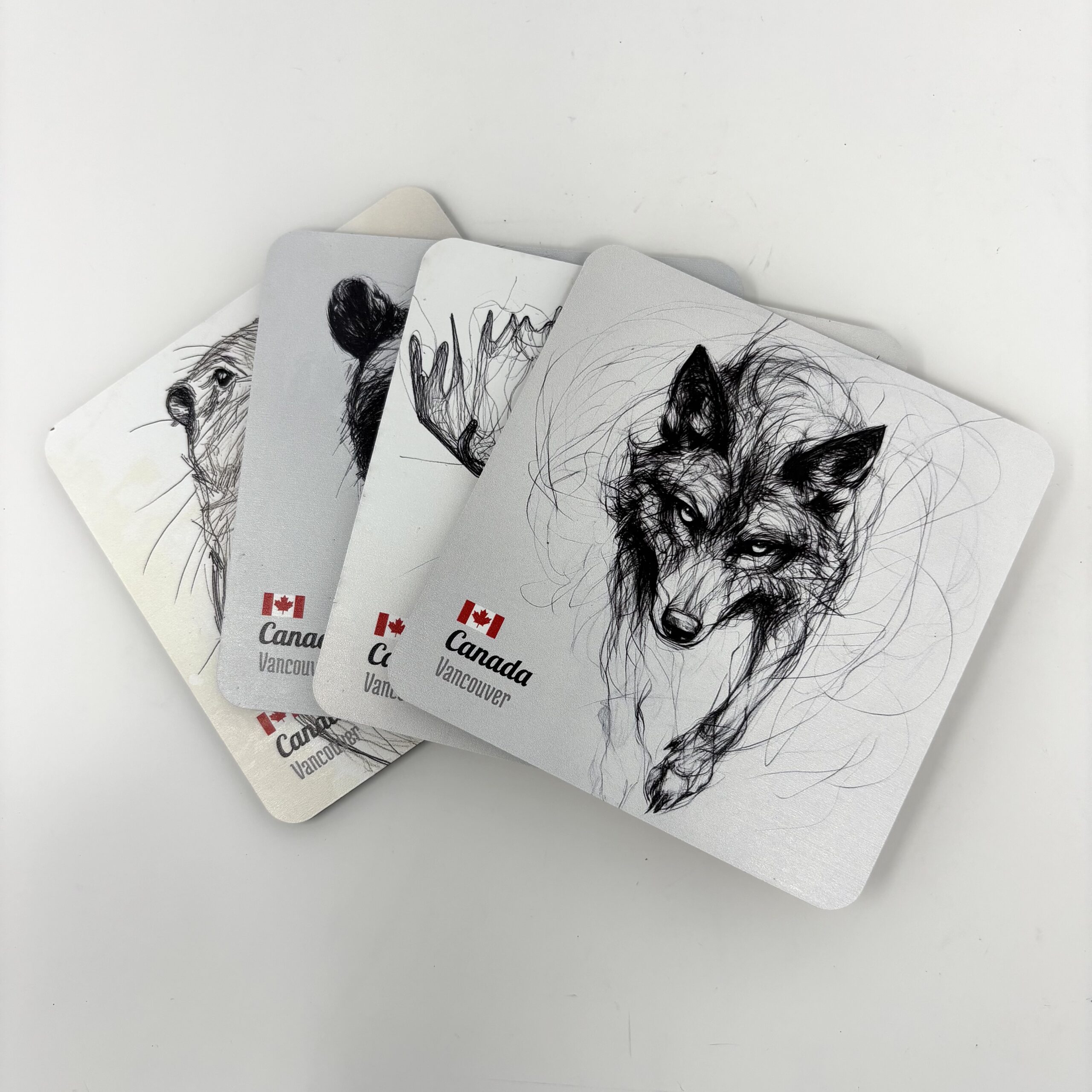 V-9854 Animals